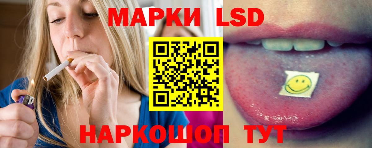 МЕФ Волхов