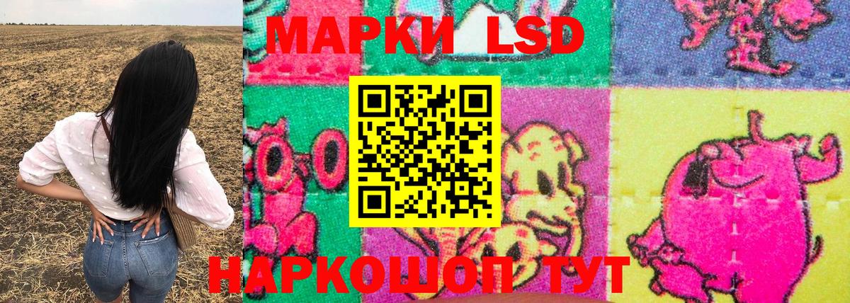 Марки NBOMe 1500мкг  Марки NBOMe  Волхов  Вход с VPN 