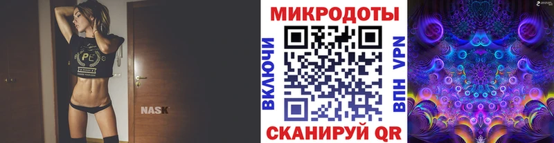 сколько стоит  Волхов  Псилоцибиновые грибы прущие грибы 